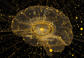 Developing a Growth Mindset